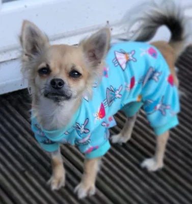 - ​​Pet toys under    yuanSmall Dog  Chihuahua Pyjamas Onesie Style Bunny Print Cotton Aqua Premium Quality