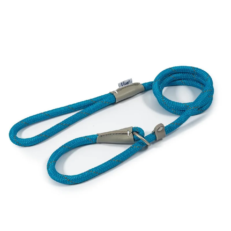 - Custom pet birthday cakeAncol Viva Dog Rope Slip Lead Reflective Weave Blue 4 Sizes