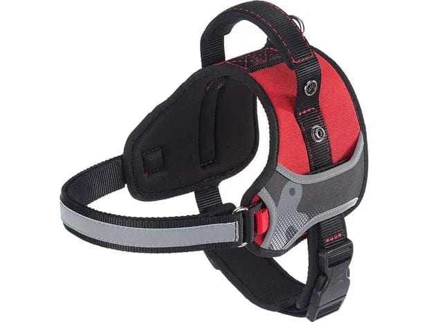 - Winter dog thick down jacketHERCULES P HI-TECH RED NYLON HARNESS