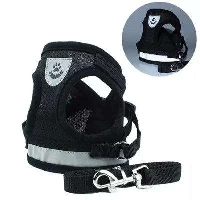 - Pet smart GPS locatorSmall Dog Vest Harness and Lead Set Black Mesh Reflective