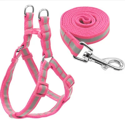 - Pet monitor with cameraReflective Chihuahua Harness and Lead Pink Strong Webbing