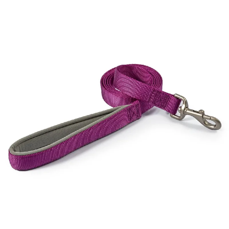 - ​​Pet toys under    yuanAncol Viva Nylon Dog Lead with Neoprene Padded Handle Purple 4 Sizes