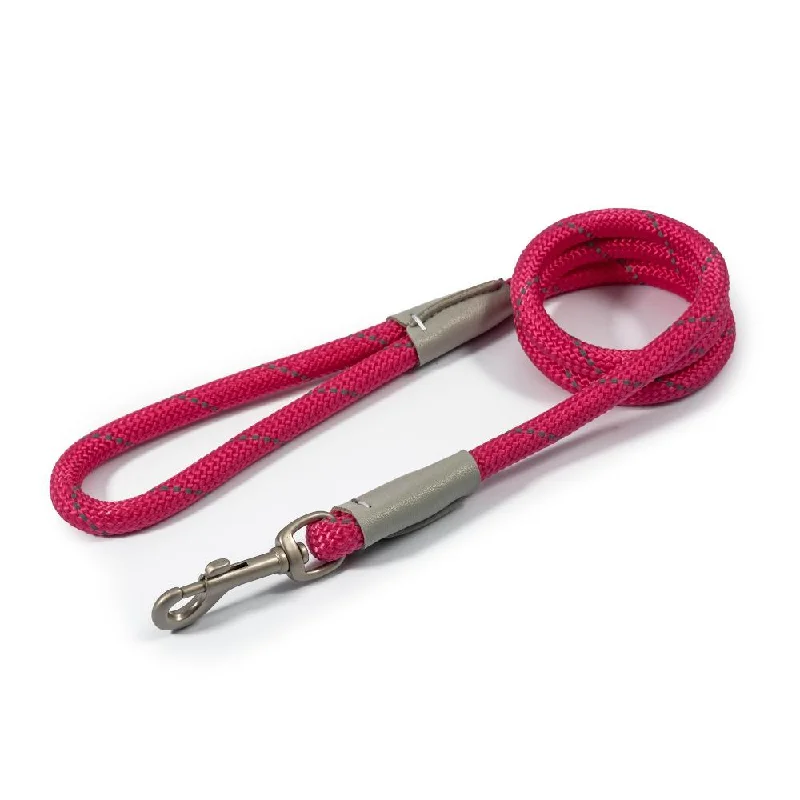 - Teething and chewing toys for puppiesAncol Viva Dog Rope Lead Snap Hook Reflective Pink 2 Sizes