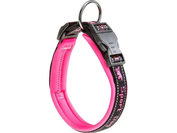 - Cat nail clippers with LED lightsSPORT DOG C25/45 PADDED COLLAR